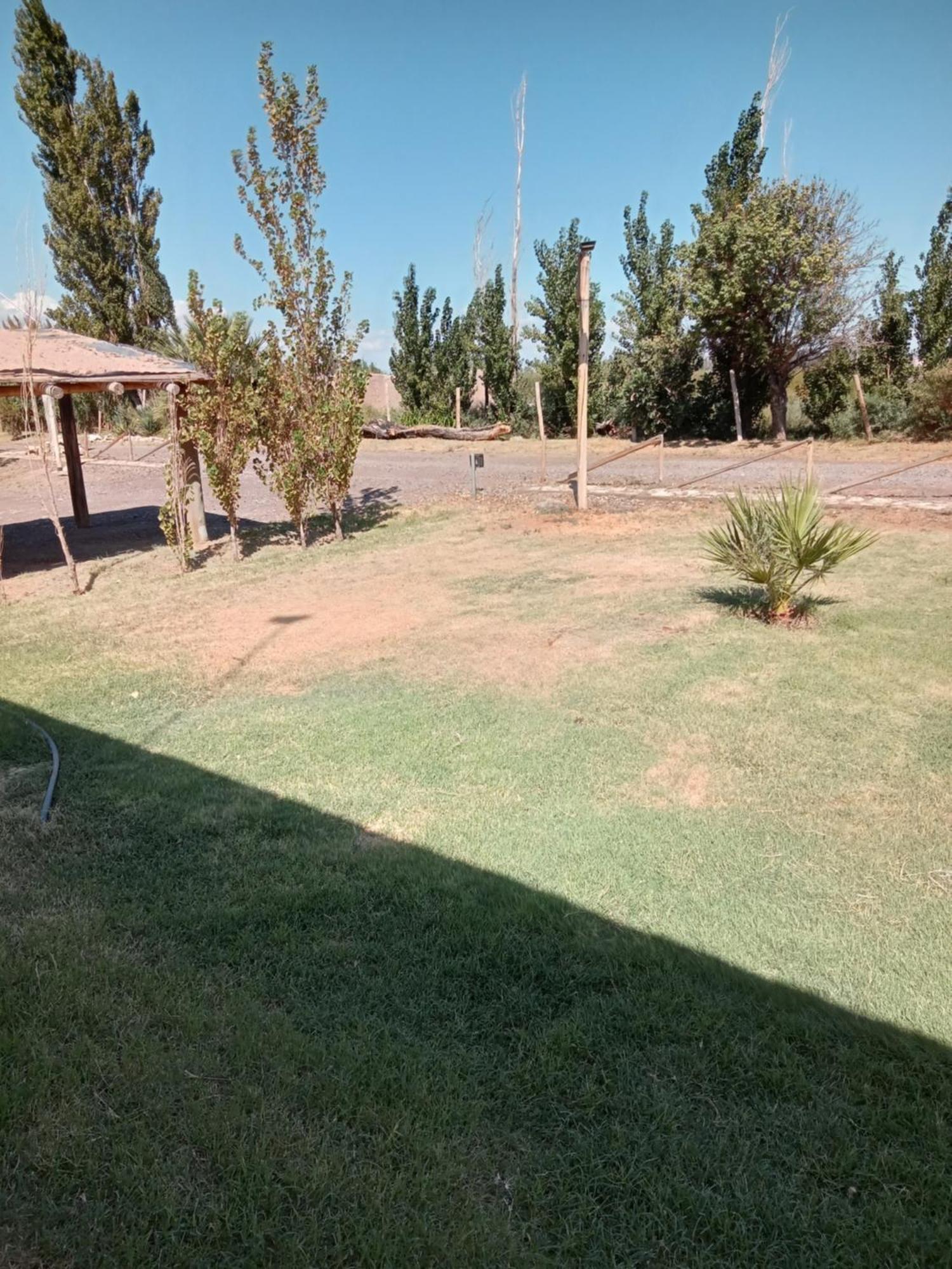 Cabanas De La Bodega Romano-Pin Albardón Dış mekan fotoğraf